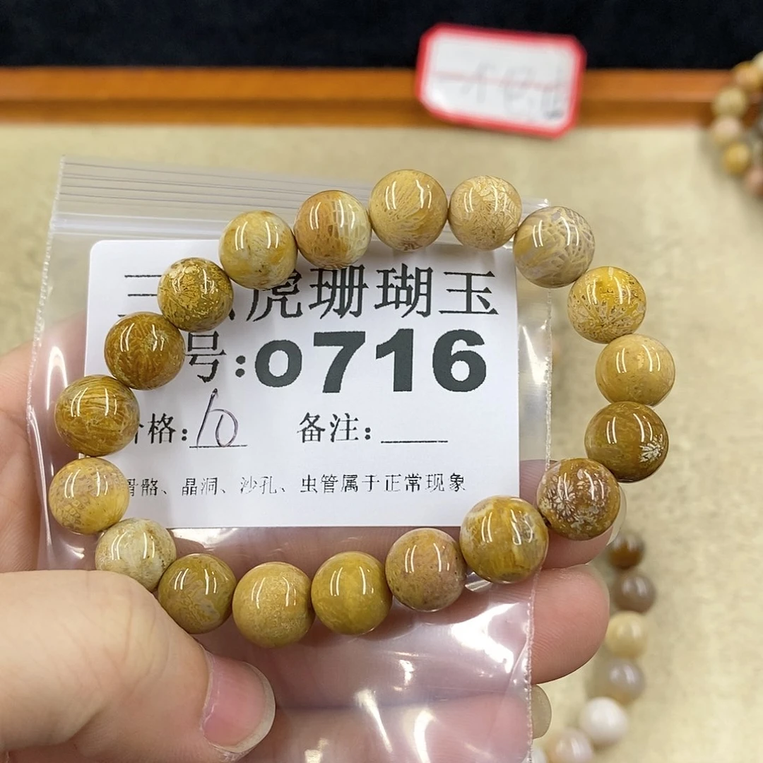 硅化珊瑚（珊瑚玉）1未镶嵌H***Y