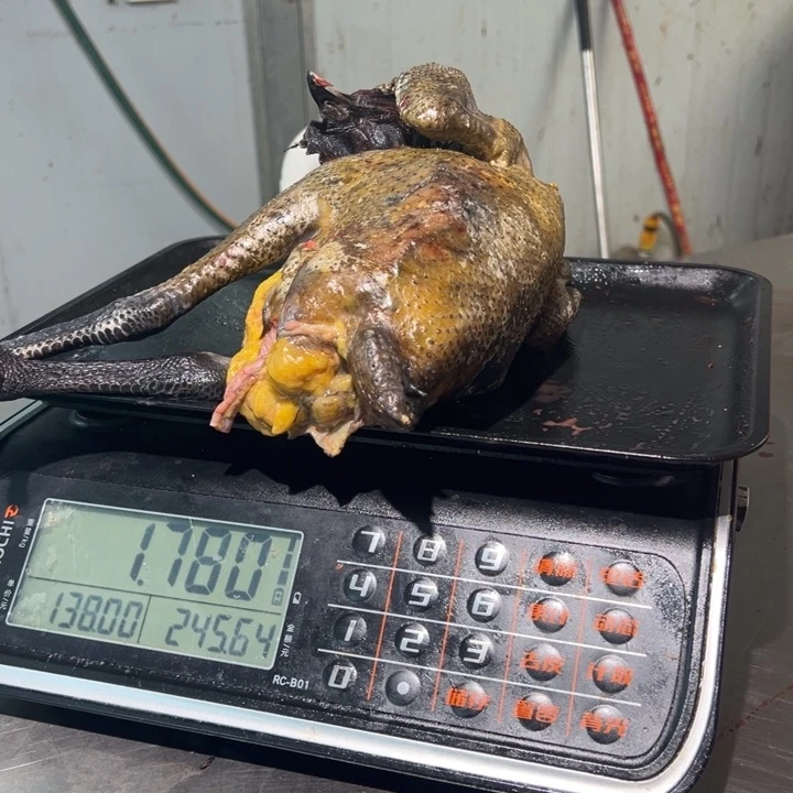 一号土鸡食用农产品中国大陆静*