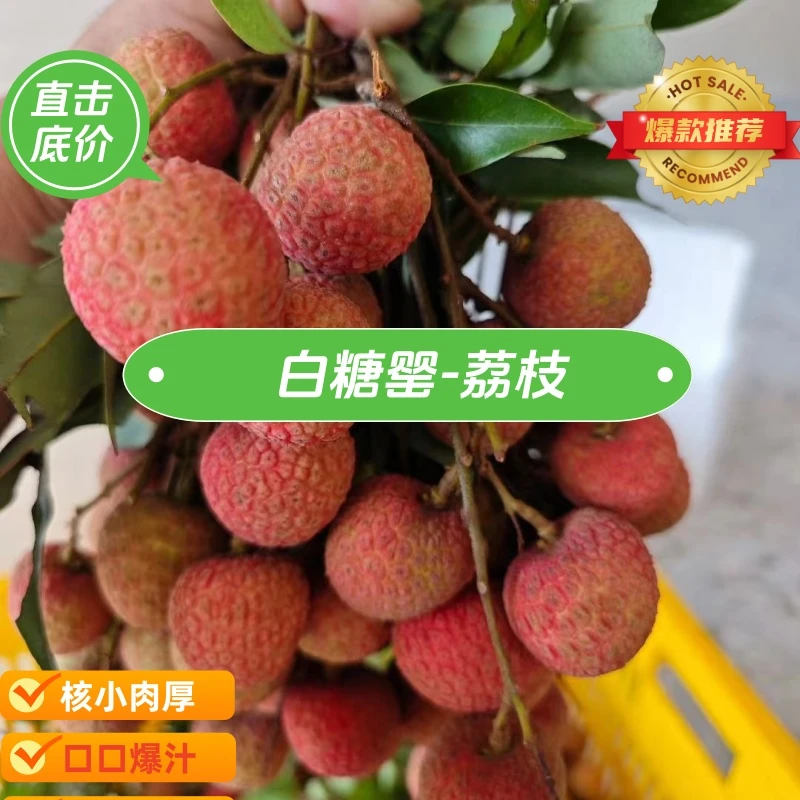 【京东空运】白糖罂整箱批发5斤10斤装妃子笑荔枝新鲜现摘水果桂味