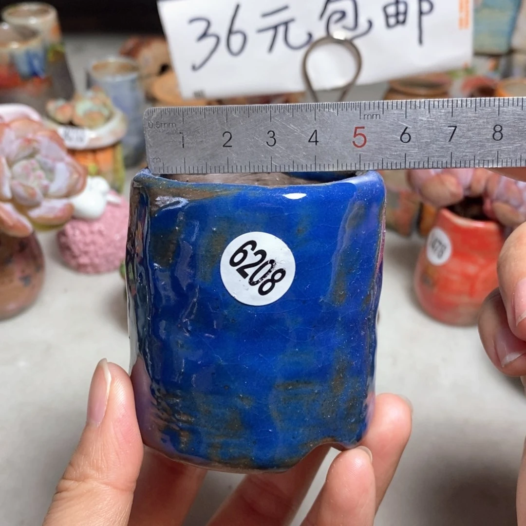 拍5送一个小礼物