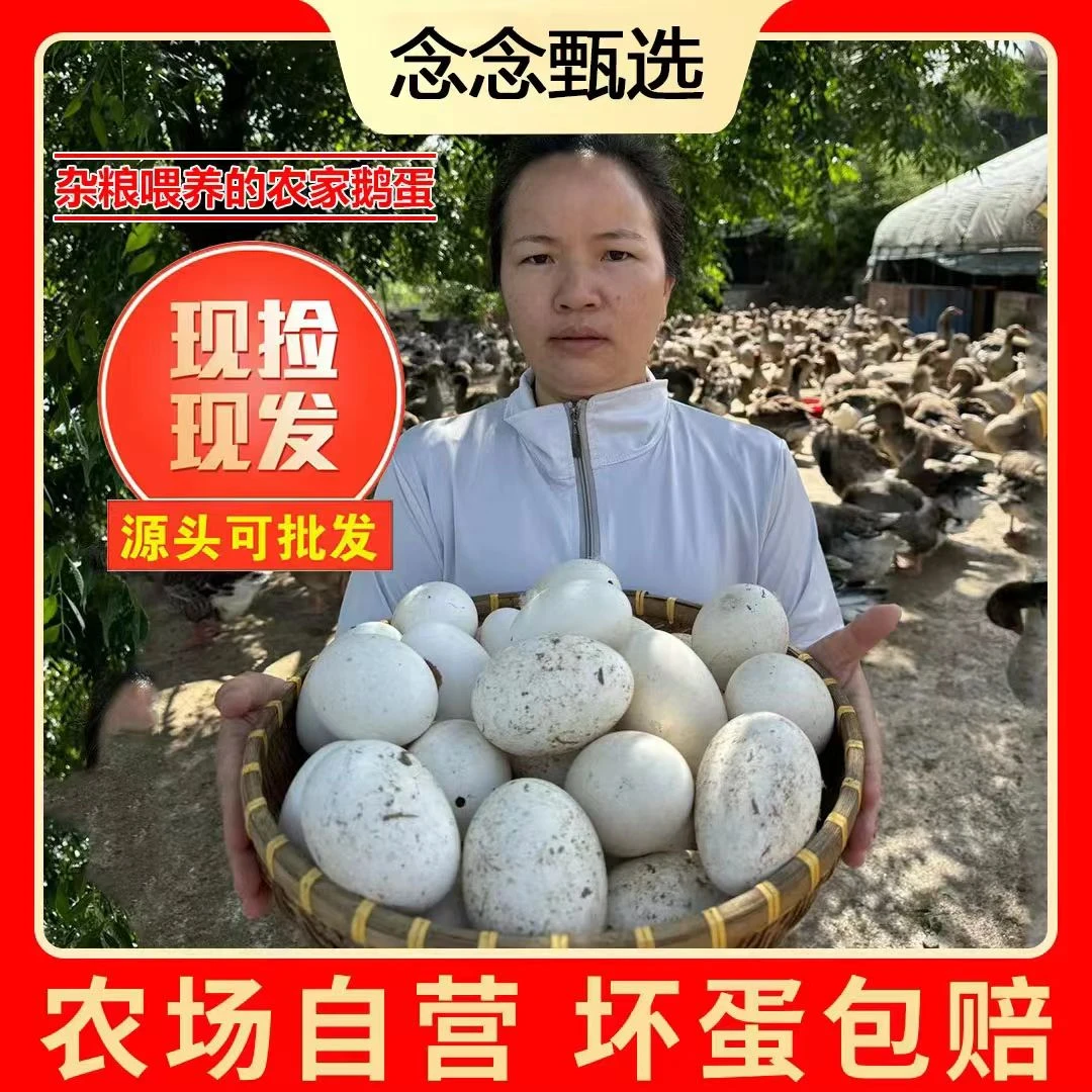 【念念家】现捡现发新鲜散养鹅蛋一箱12枚单枚重120g左右