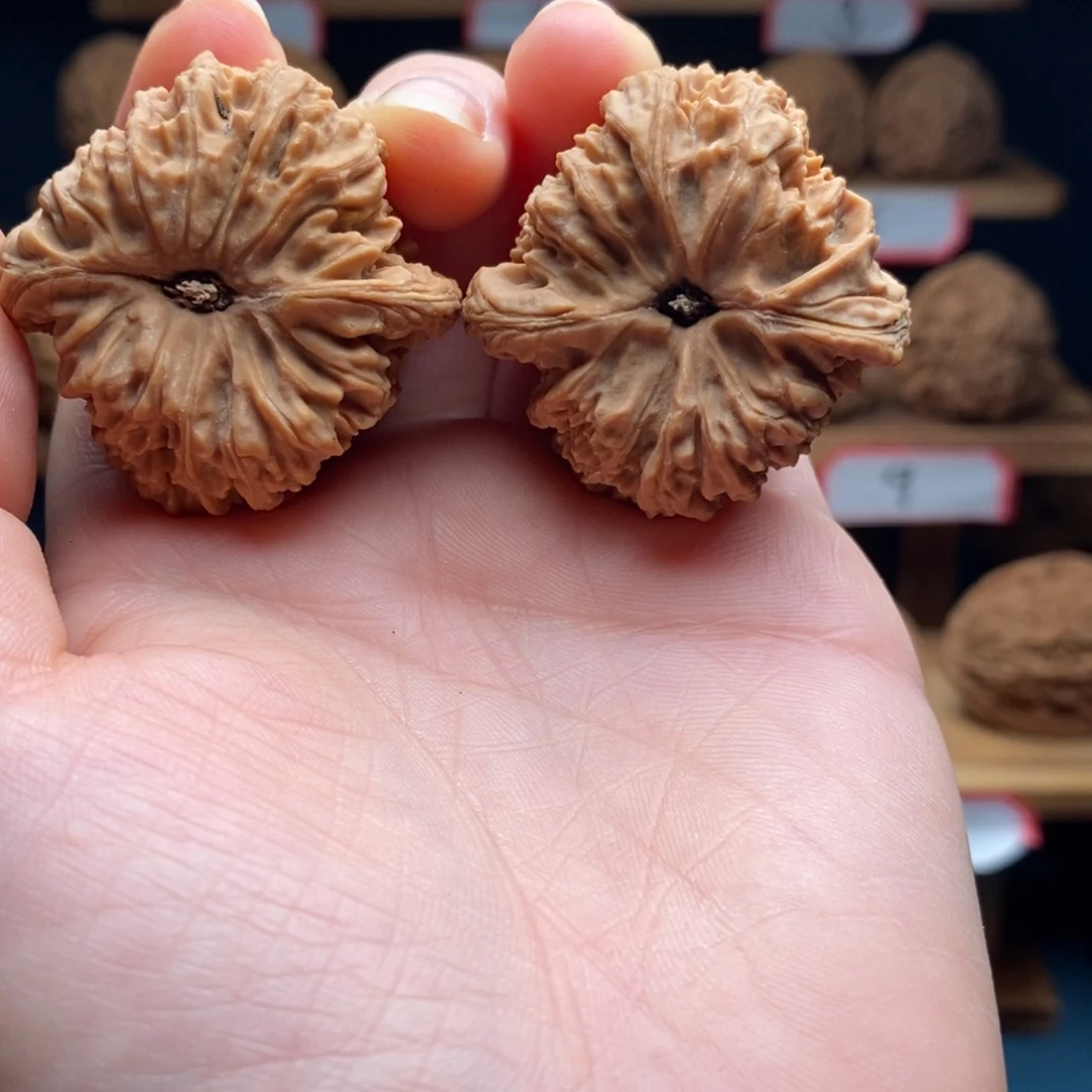 我***面南将石文玩核桃40