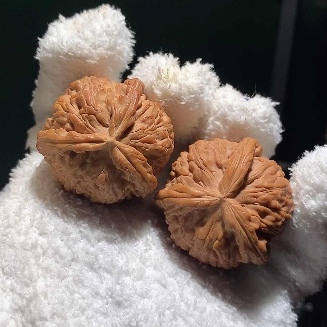 文玩核桃把件37白狮子球奔