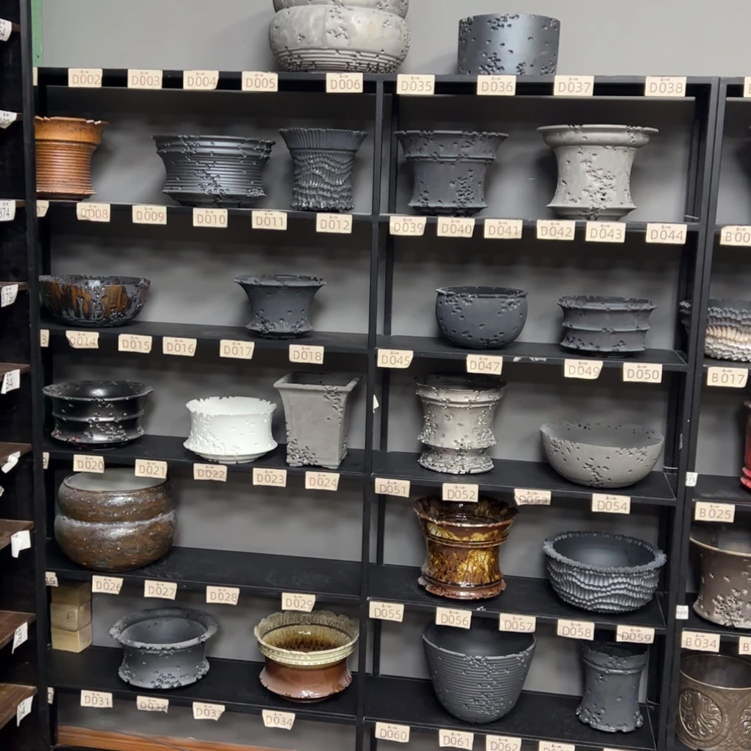 有喜欢的把编号打在公屏