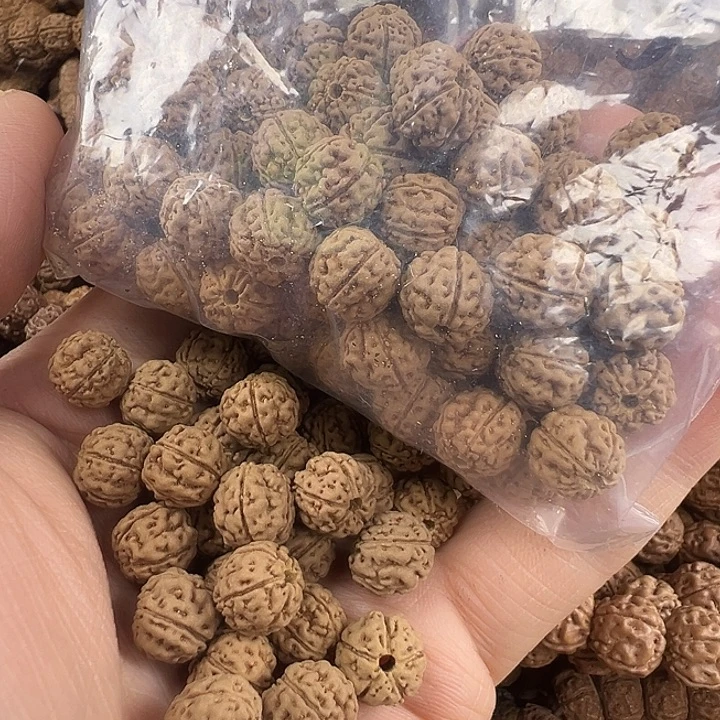 金刚菩提吊坠魔丸散籽10m