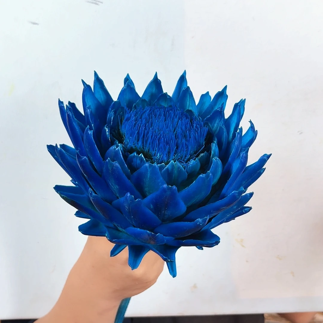 D34蓝色大单头洋蓟一枝