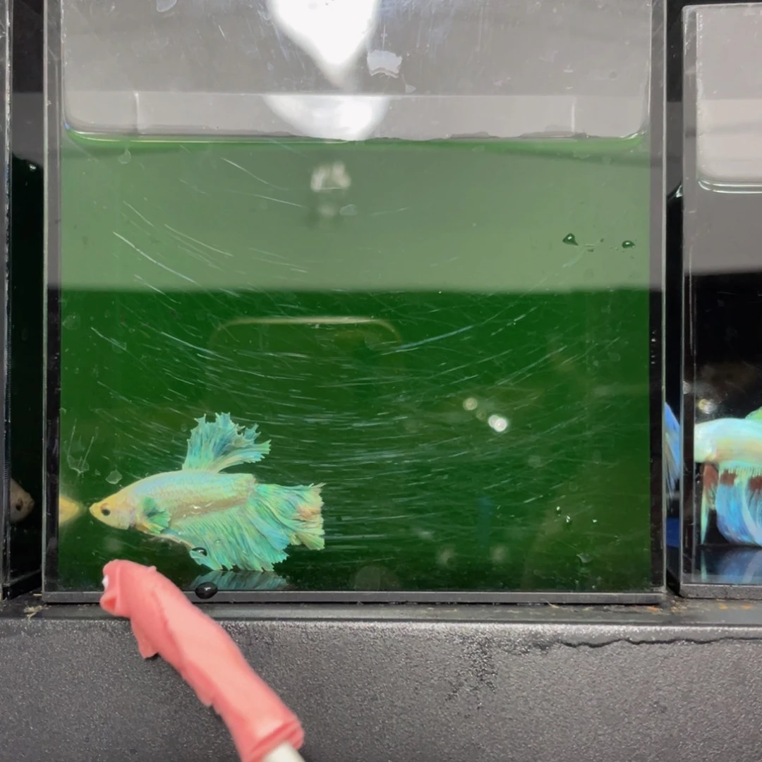 海水哈哈哈哈哈哈哈哈