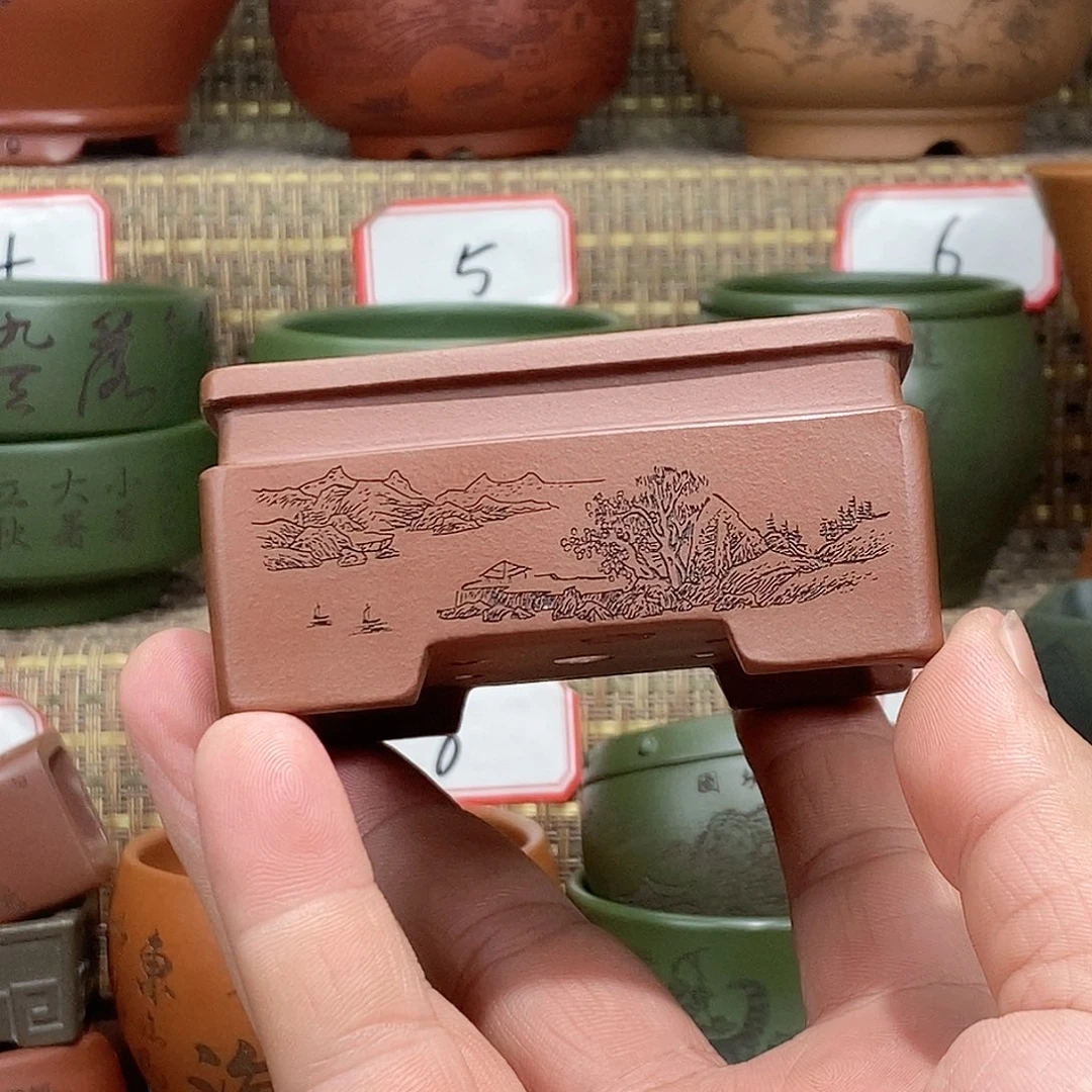 紫砂花盆我在等他