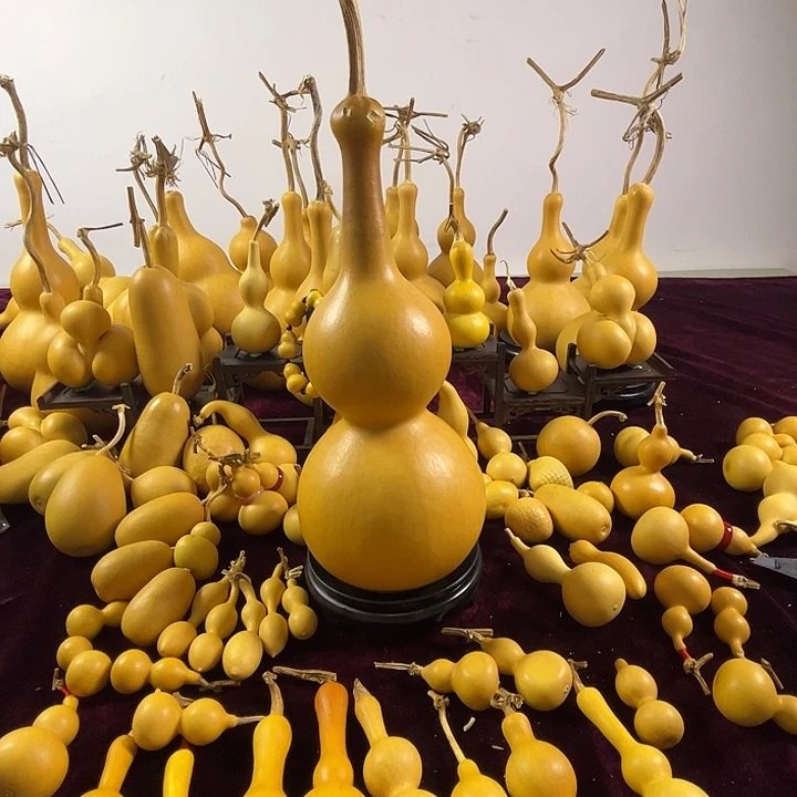 葫芦瑕疵葫芦不退不换