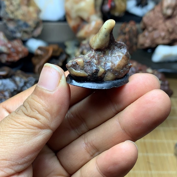 有机玻璃摆件摆件摆件摆件