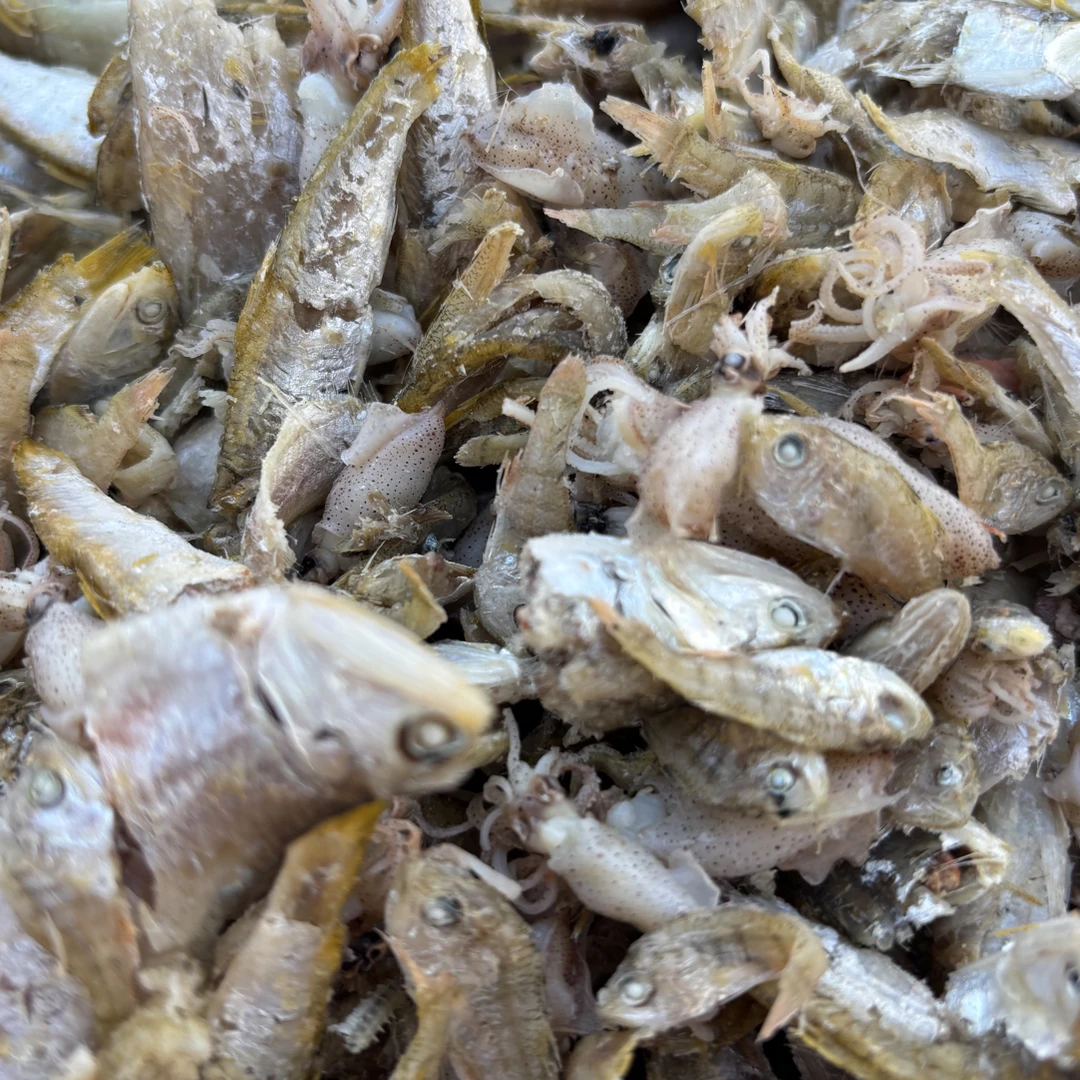小鱼海兔混合（熟的直接配主食吃）