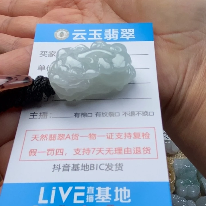 翡翠未镶嵌颈饰多人貔貅