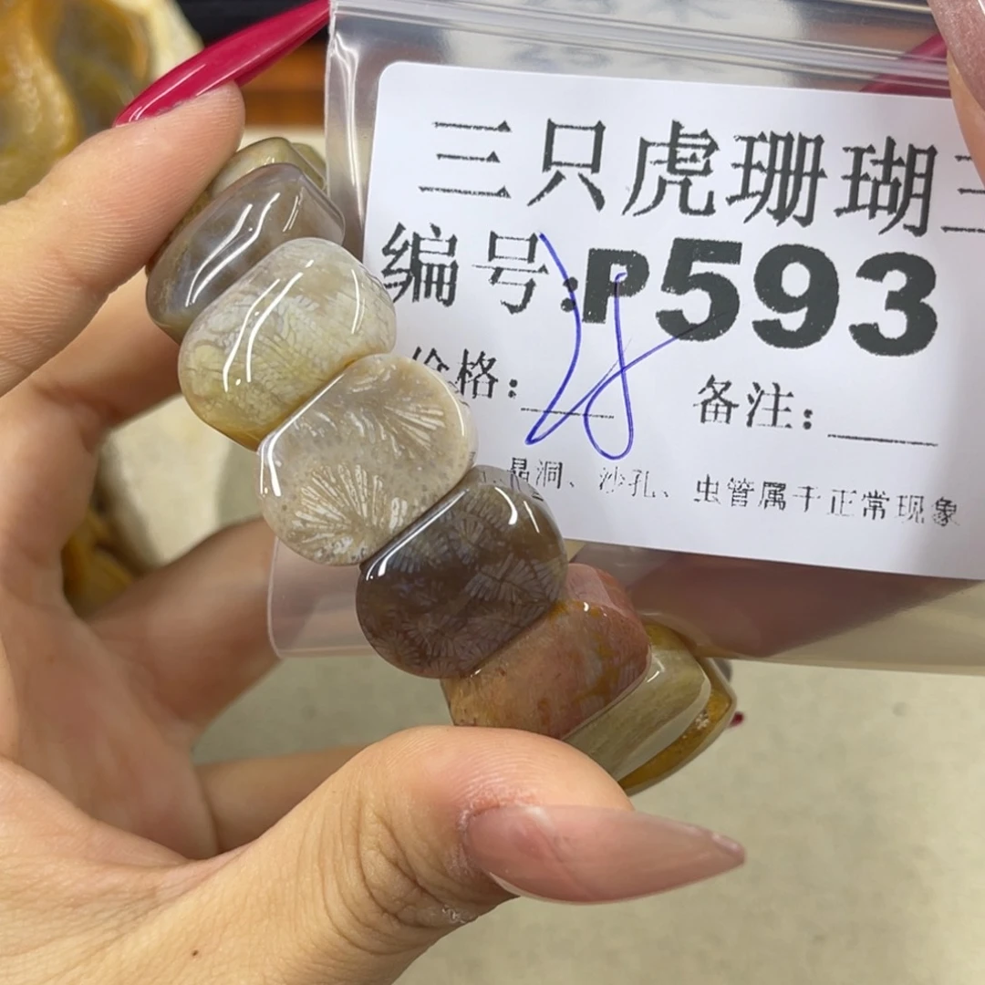 小***将硅化珊瑚（珊瑚玉）h未镶嵌