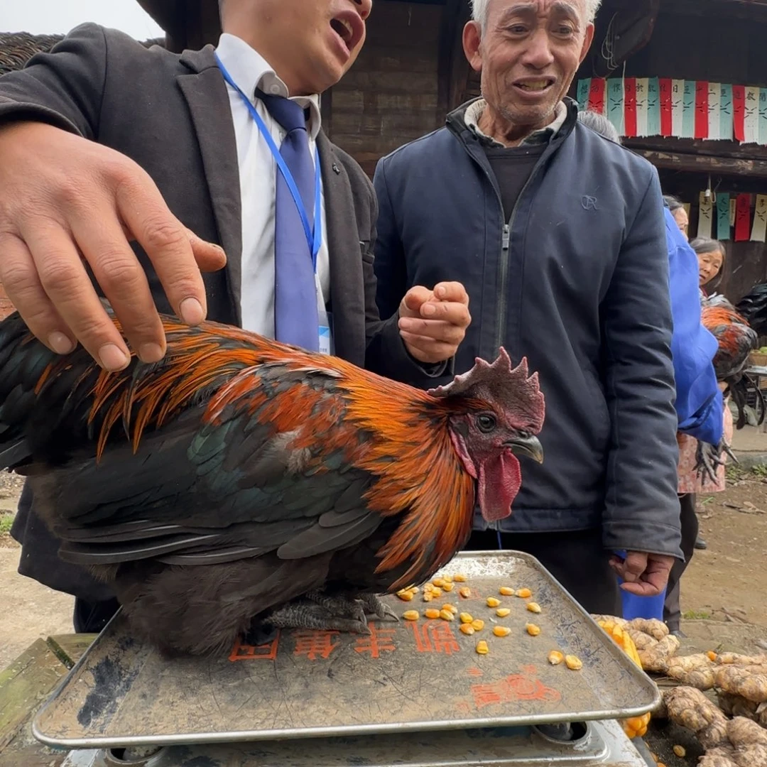 包装中国大陆2628，