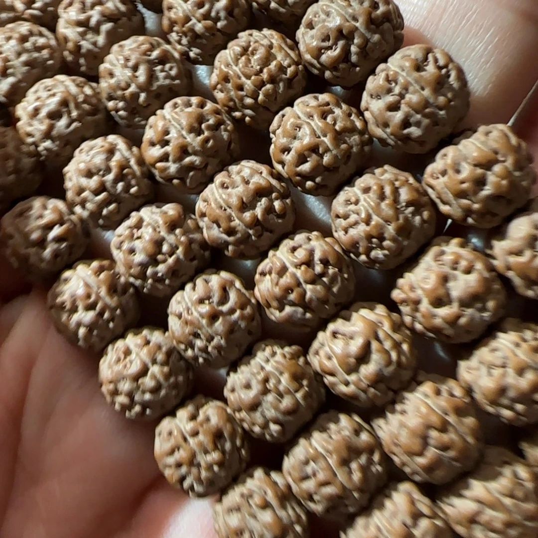 吊坠金刚菩提一代盘龙原籽