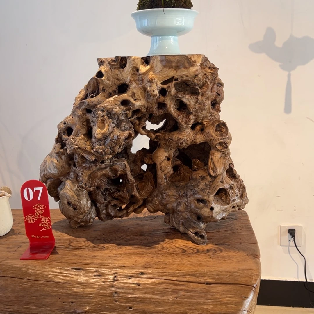 纵***者香榧木11111111111111111