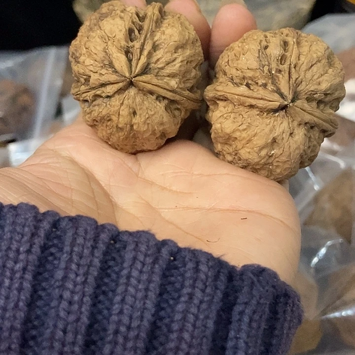 文玩核桃把件云南铁核桃基地52