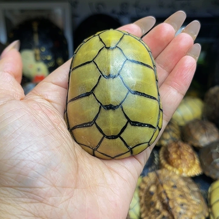 【闪购商品】有机玻璃关*司