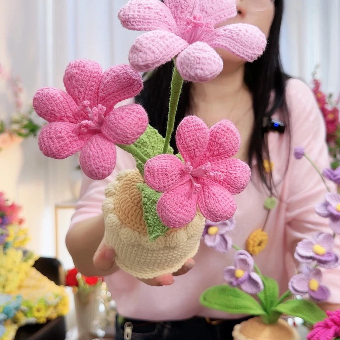 莱赛尔纤维棉手工钩织盆栽