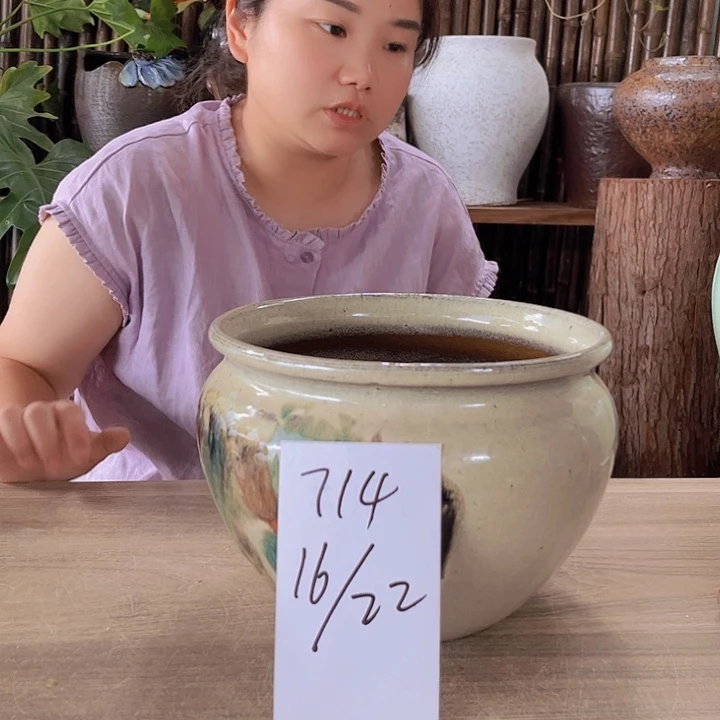 高花盆11111111111