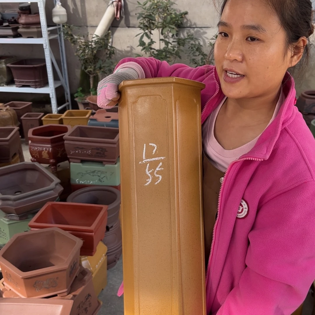 紫砂花盆盆景艺术