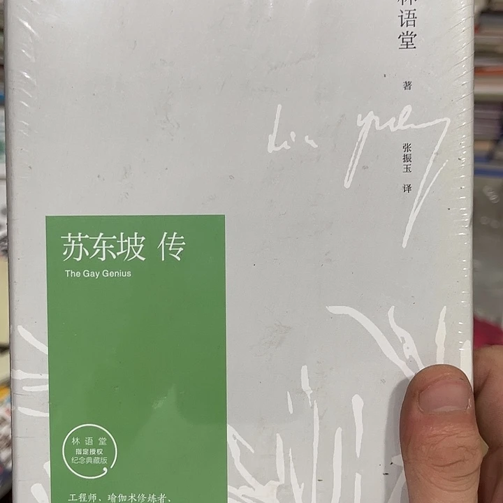 苏东坡转九米一个