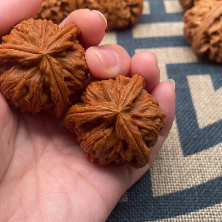 ℒ***࿚核桃白狮子39核桃