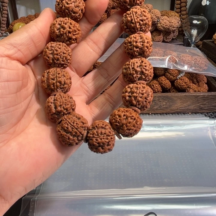 莫***贝吊坠金刚菩提梅花