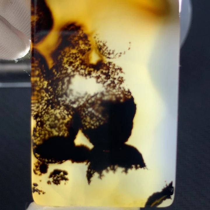 大***树玛瑙/玉髓颈饰未镶嵌