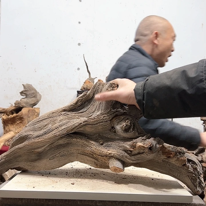 柏木旺**行我们的生活是以自己为中心