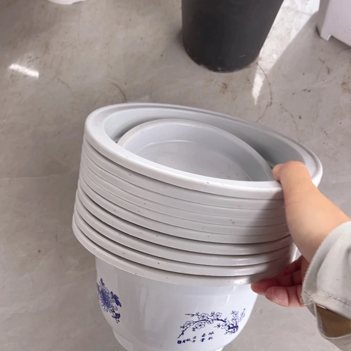 花开富贵口21高13一组10个带托盘