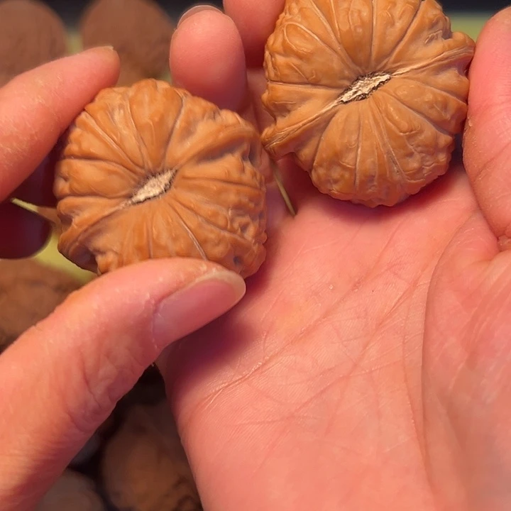 安***谨大叶紫檀（黑酸枝木类）