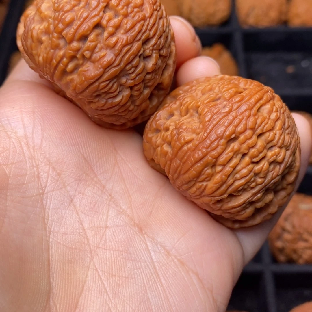 秦岭野生文玩核桃
