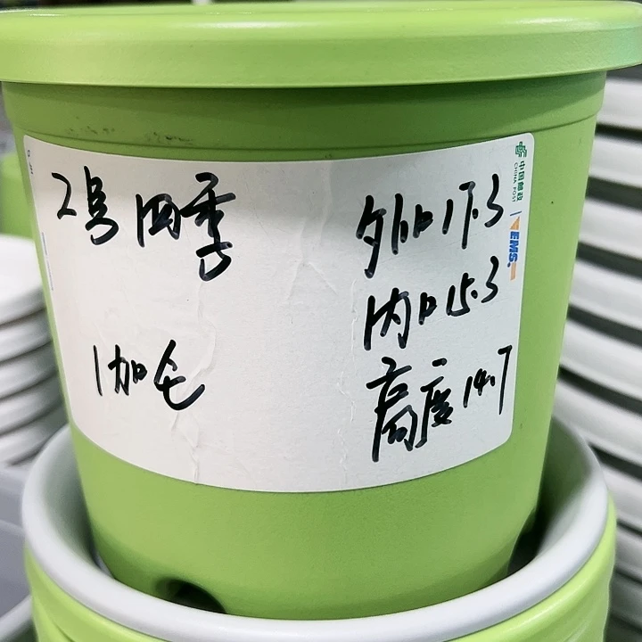 特价2号口17高14白色10只无托