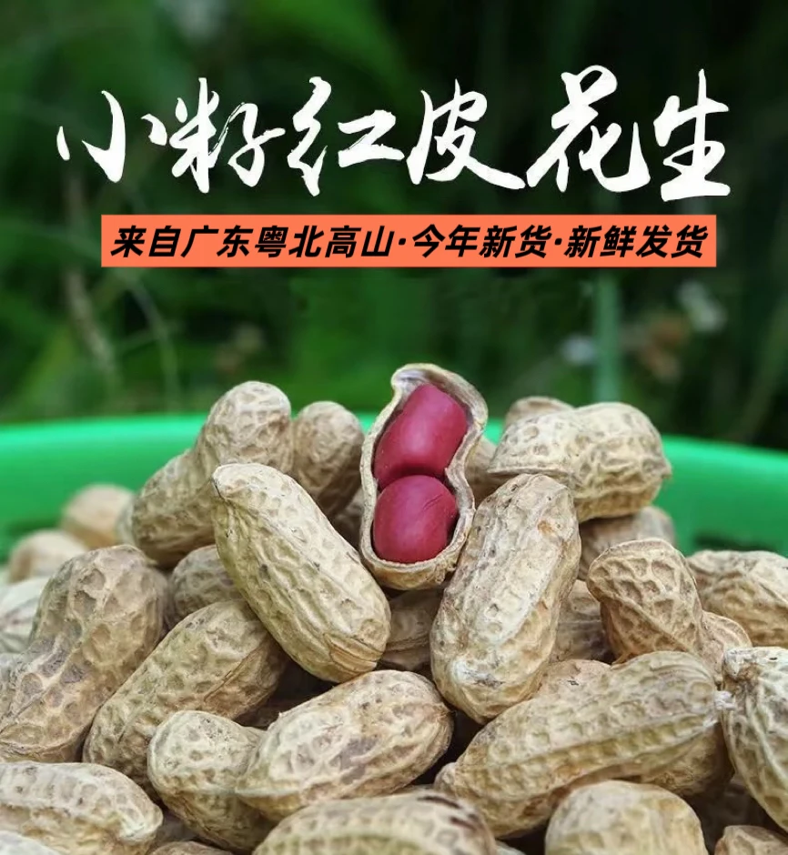 粤北连州高山农家自种花生新鲜小花生红衣花生柴火发货现发