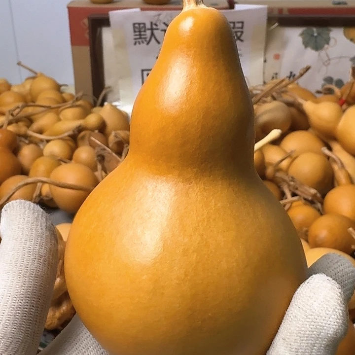 木质非金属6.880000