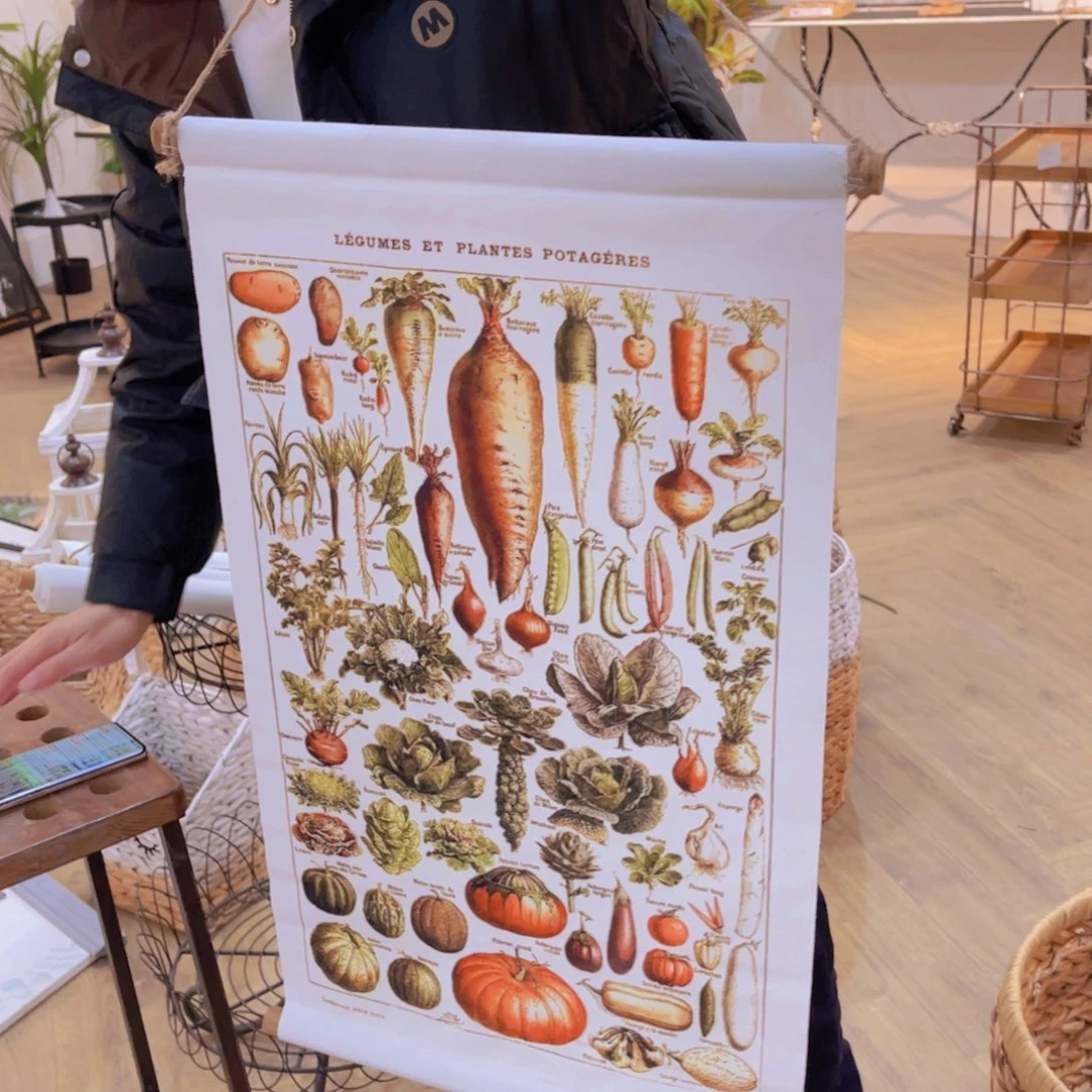 红陶红陶红陶红陶红陶红陶红陶红陶