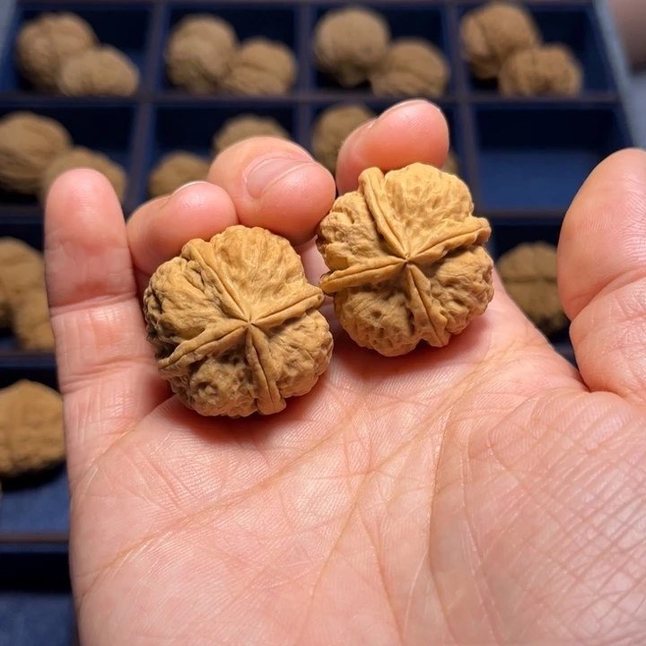 文玩核桃把件四棱8472