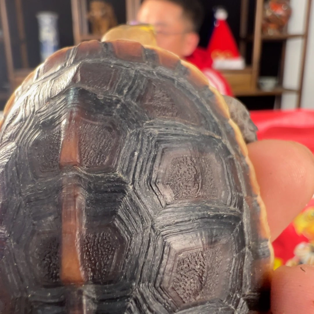 母长**O我在你安顺