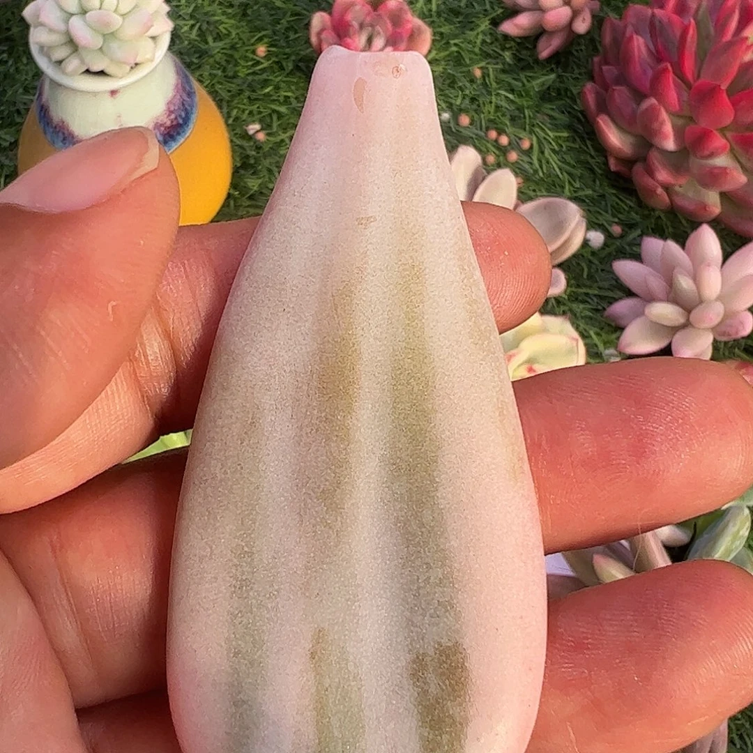 锦***s多肉植物多肉植物