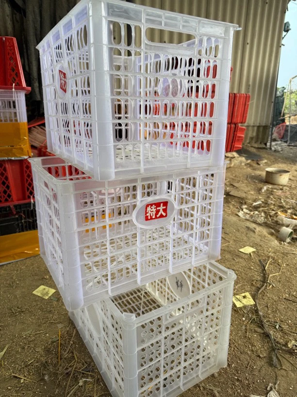 小金家用灰色塑料收纳筐加厚出壳大容量