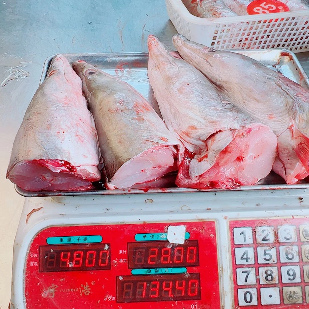 中国大陆四个鳗鱼头