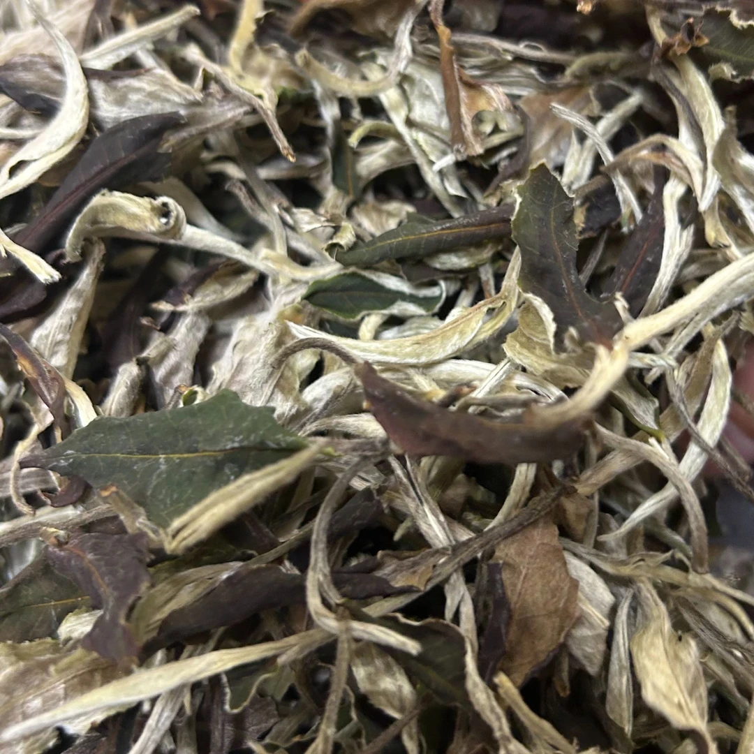 六诏·百花潭月光白（白茶）250g