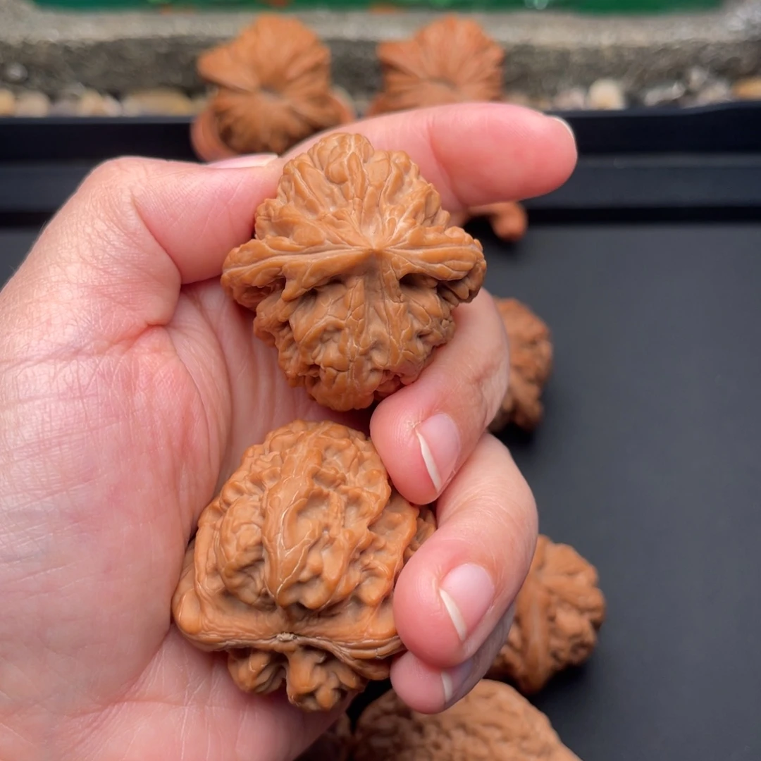 红***茶把件桃核红锦鲤25.504