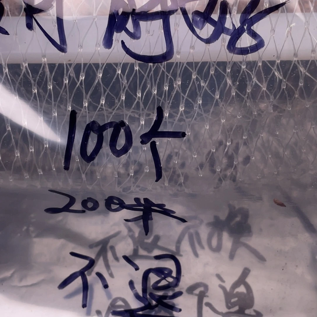 【闪购商品】核桃其他私人定制200米不退不换