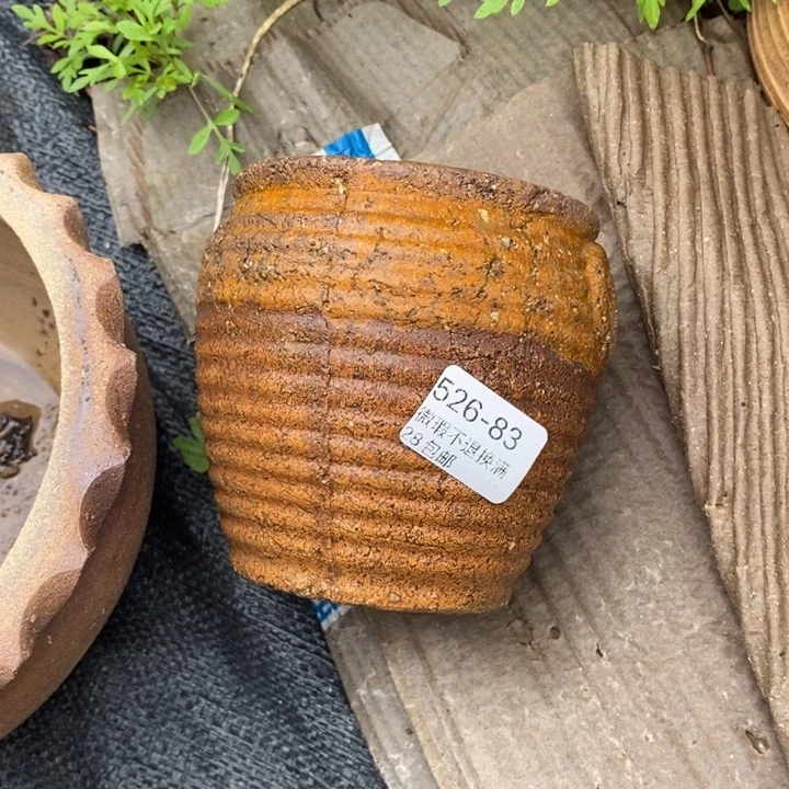 83号多肉盆口径8