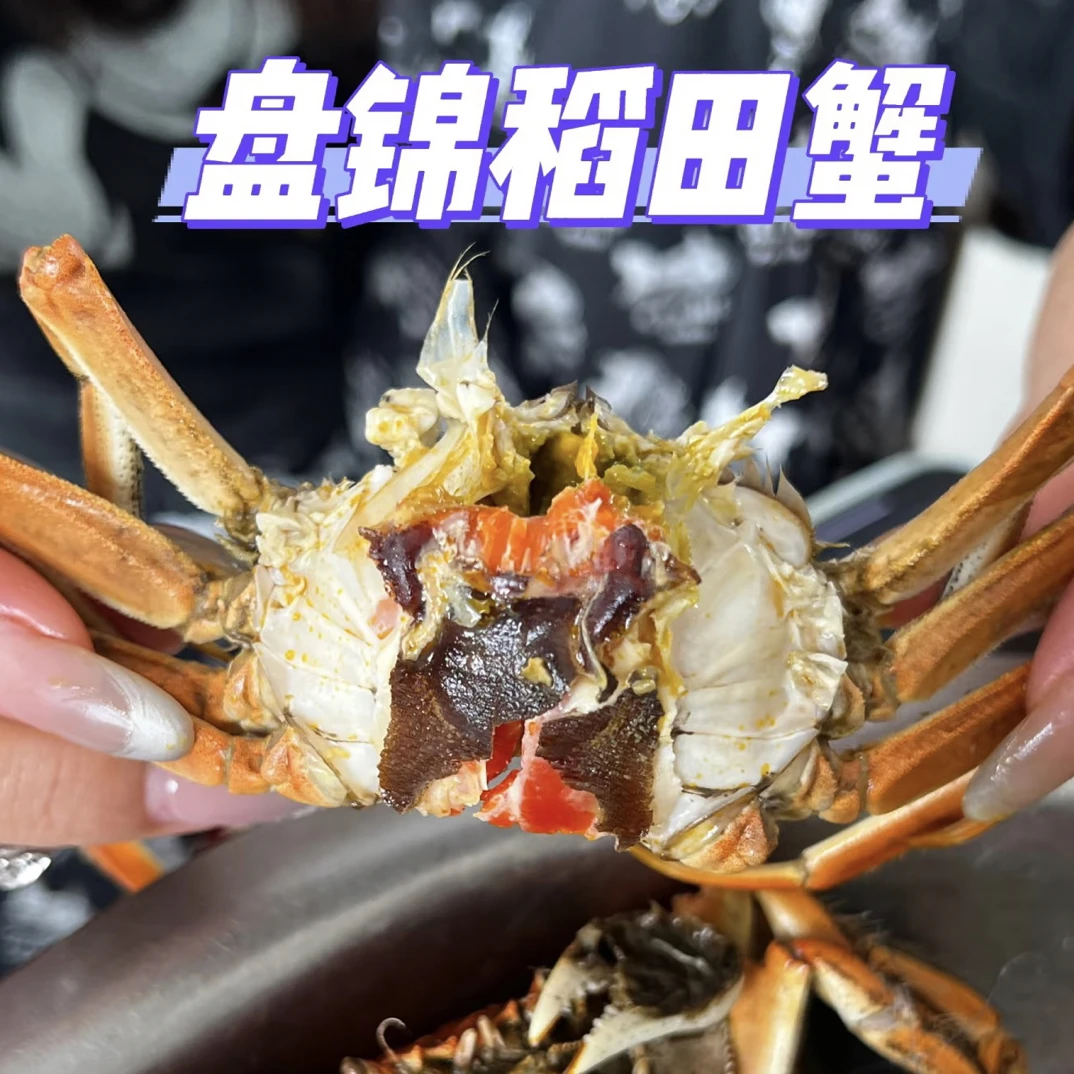 盘锦稻田蟹 全母1～1.3两（25-30只）