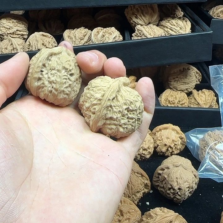 ****‍龙脊菩提吊坠啊啊啊啊啊啊啊南瓜13