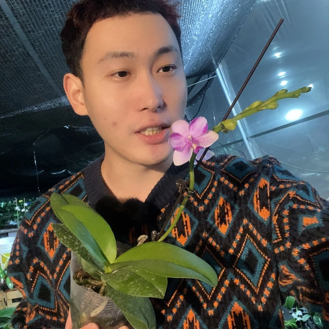 无花朵紫水晶带花