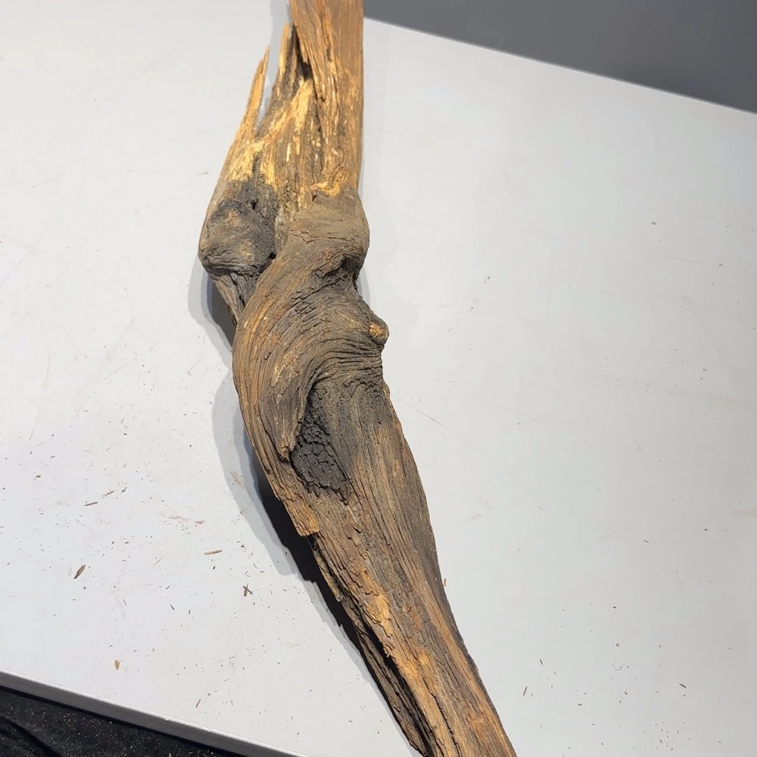 柏木（崖柏）逸*云南崖柏